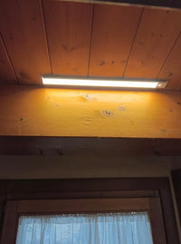 Pieter van der Merwe